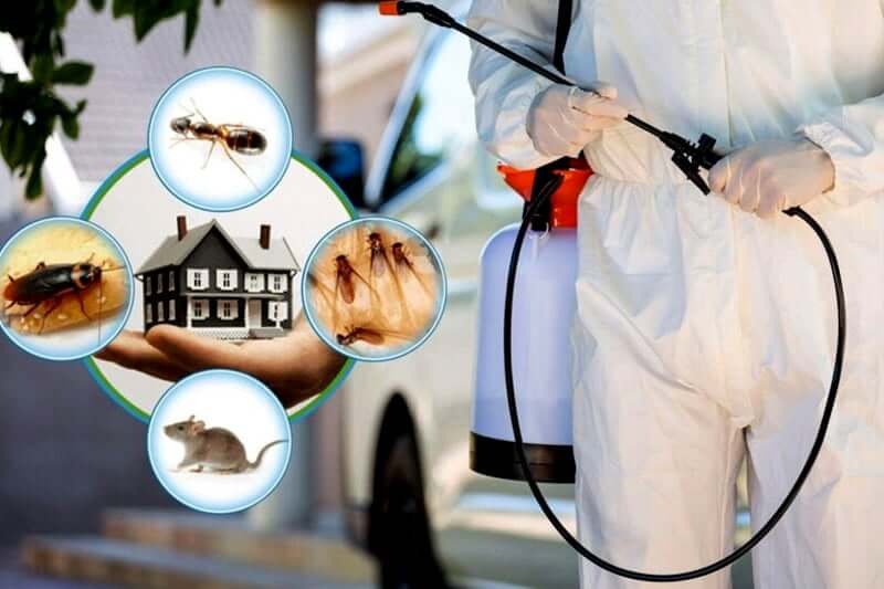Chinmayee pest Control Service About