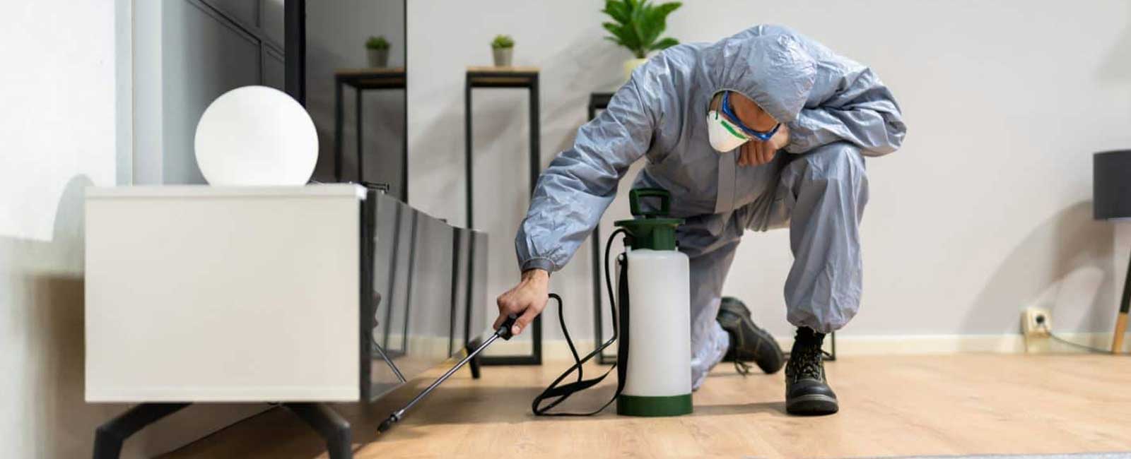 General Insect Control treatment expert in Mangalore