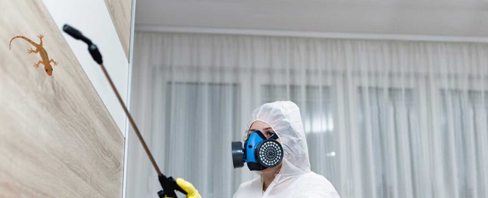 Top Lizard Control services in Mangalore