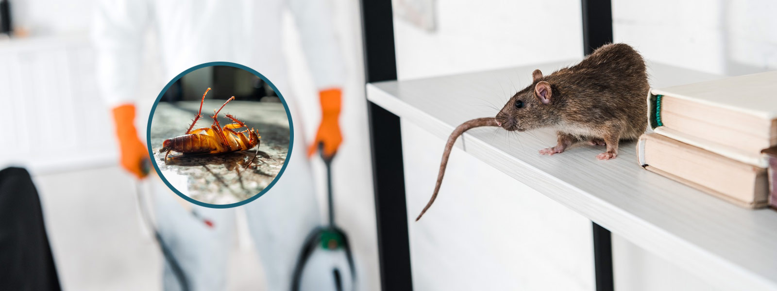 Pest Control Services Banner