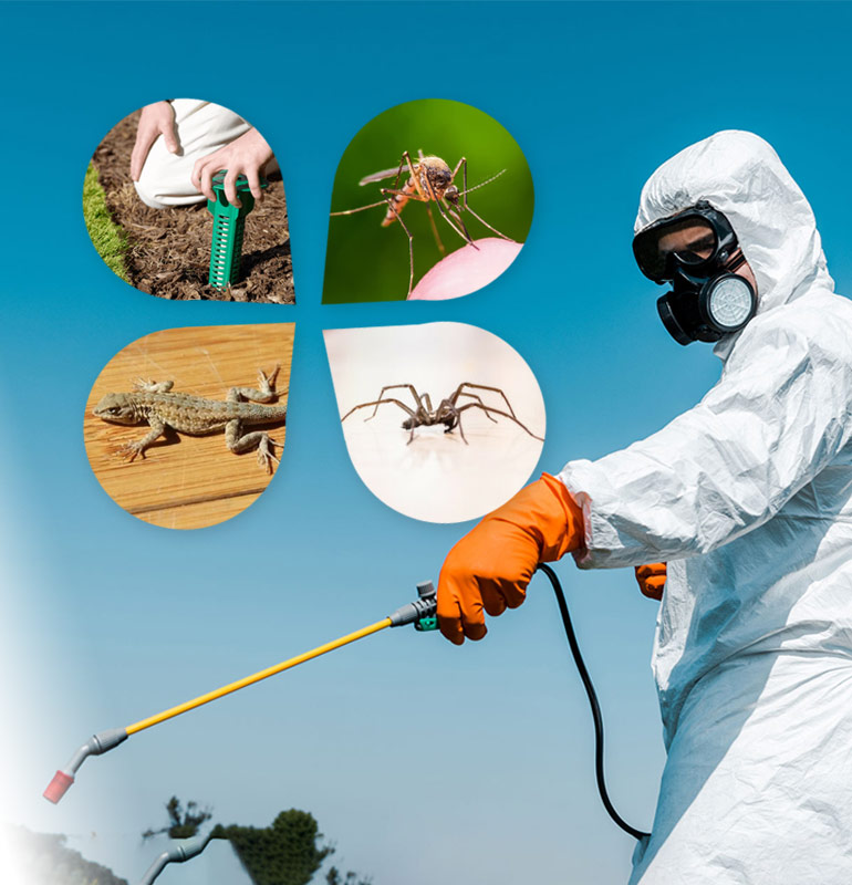 Chinmayee Enterprises Banner