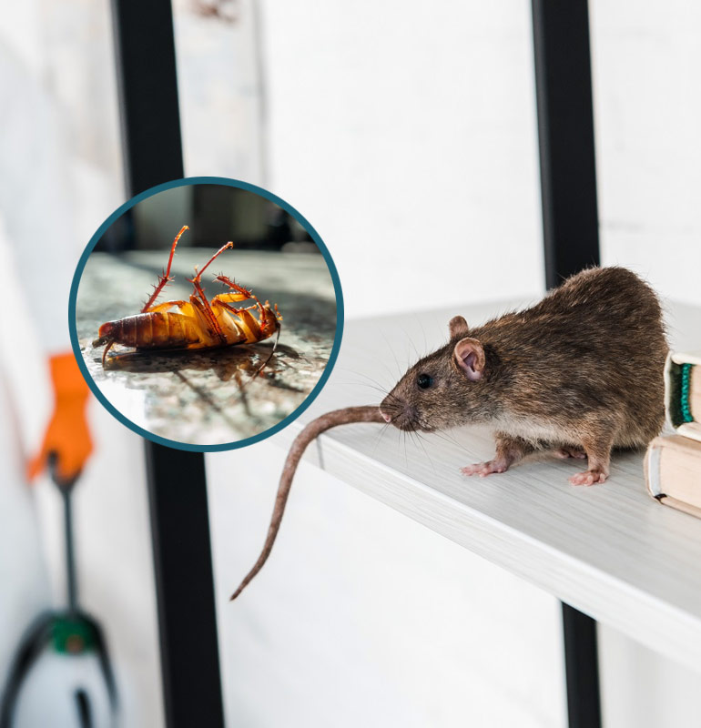 Pest Control Services Banner